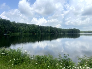 Lakefront Privacy on Beaver Meadow Lake - photo 2
