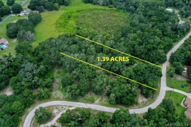Tsala Apopka Chain of Lakes Lot For Sale in Inverness Florida