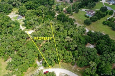 Tsala Apopka Chain of Lakes Lot For Sale in Inverness Florida