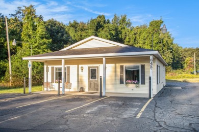 Lake Commercial For Sale in Allegan, Michigan