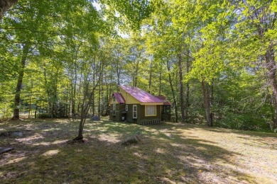 Lake Home For Sale in Weld, Maine
