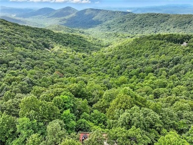 THAT VIEW . . . This perfect mountain cabin sits at over 3000 - photo 4