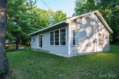 Lake Home For Sale in Sand Lake, Michigan