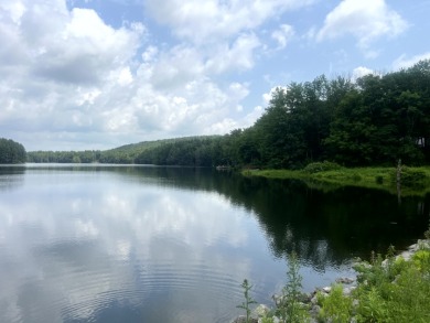 Lakefront Privacy on Beaver Meadow Lake - photo 12
