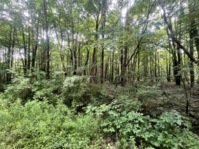 Lakefront Privacy on Beaver Meadow Lake - photo 19