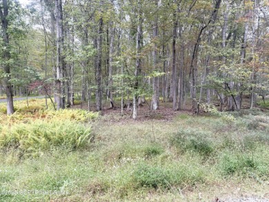 Lake Lot For Sale in Jim Thorpe, Pennsylvania