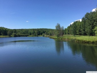 Lake Acreage Off Market in Canaan, New York