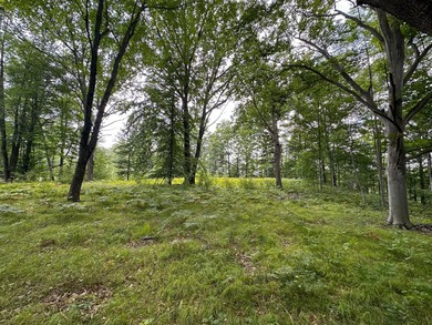 Don't miss this outstanding 40-acre recreational property in the - photo 1