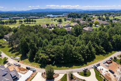 This gorgeous lot, which is just across the road from the lake - photo 4