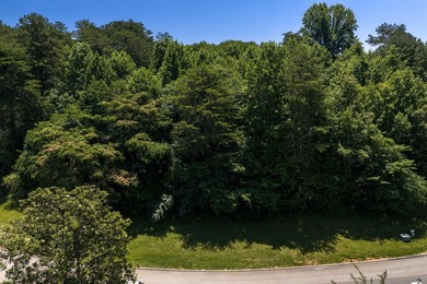 This gorgeous lot, which is just across the road from the lake - photo 5