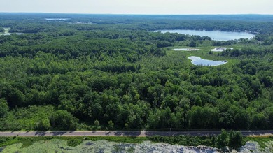 Don't miss this outstanding 40-acre recreational property in the - photo 6