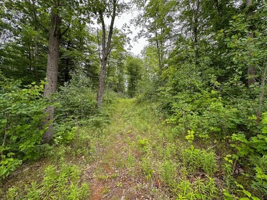 Don't miss this outstanding 40-acre recreational property in the - photo 7