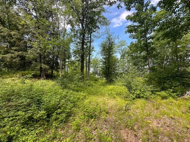 Don't miss this outstanding 40-acre recreational property in the - photo 8