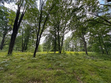 Don't miss this outstanding 40-acre recreational property in the - photo 9