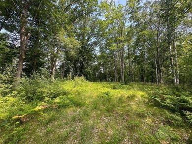 Don't miss this outstanding 40-acre recreational property in the - photo 10