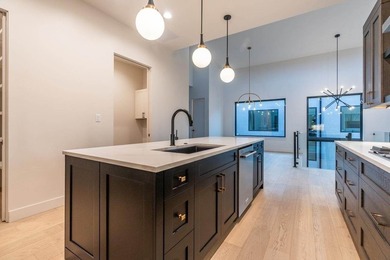 ** OPEN HOUSE 6/28 2-4pm*** Experience elevated living in one of - photo 19