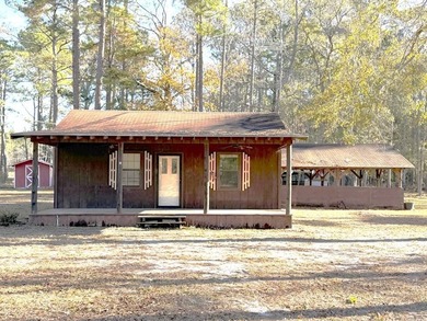 (private lake, pond, coastal) Home For Sale in Portal Georgia