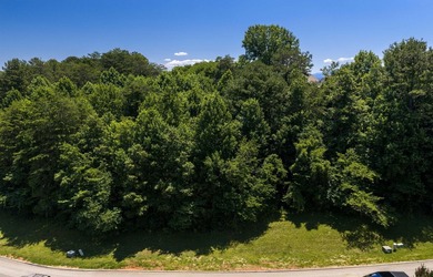 This gorgeous lot, one of two side by side which is just across - photo 10