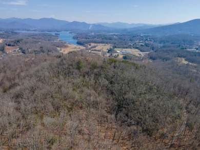 Lake Chatuge Acreage For Sale in Hayesville North Carolina