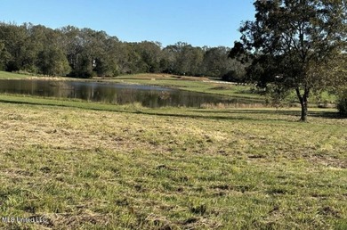 Discover the ultimate opportunity to build your dream home on - photo 4