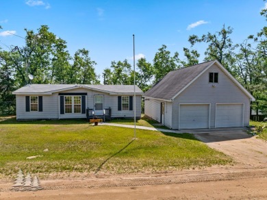 Lake Home For Sale in Atlanta, Michigan