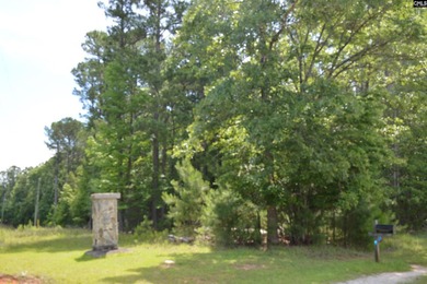Wooded lot in an off-lake subdivision with a common area - photo 2