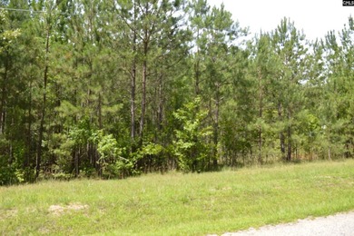 Wooded lot in an off-lake subdivision with a common area - photo 4