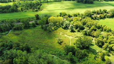 (private lake, pond, creek) Acreage For Sale in Manheim New York