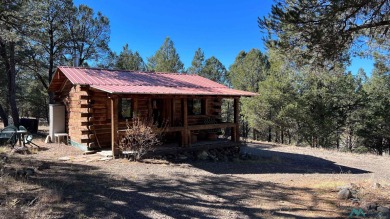 Quemado Lake Home For Sale in Quemado New Mexico