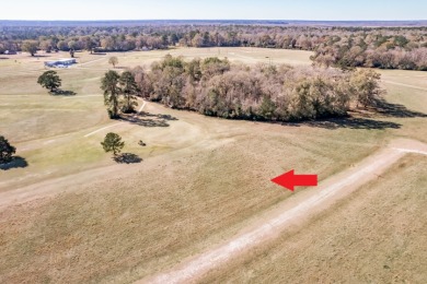Lot 7 New Orleans Avenue at Trinity Plantation - Lake Lot For Sale in Trinity, Texas