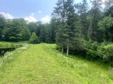 Lakefront Privacy on Beaver Meadow Lake - photo 11
