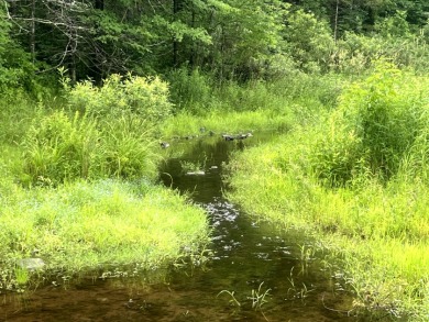 Lakefront Privacy on Beaver Meadow Lake - photo 15