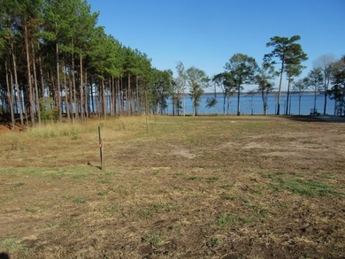 Located in the restricted neighborhood of Eagles Landing off FM - photo 12