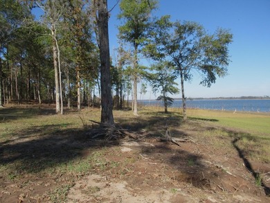 Located in the restricted neighborhood of Eagles Landing off FM - photo 20