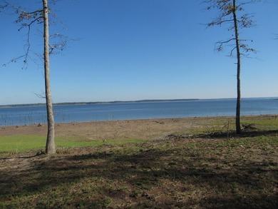 Located in the restricted neighborhood of Eagles Landing off FM - photo 21