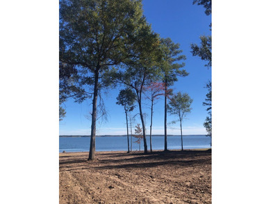 Located in the restricted neighborhood of Eagles Landing off FM - photo 22