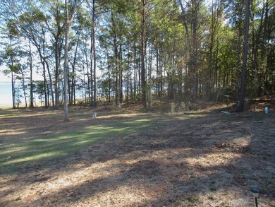 Located in the restricted neighborhood of Eagles Landing off FM - photo 24
