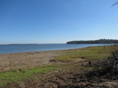 Located in the restricted neighborhood of Eagles Landing off FM - photo 25