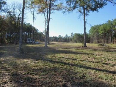 Located in the restricted neighborhood of Eagles Landing off FM - photo 26