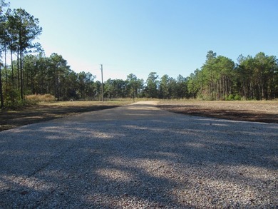 Located in the restricted neighborhood of Eagles Landing off FM - photo 28
