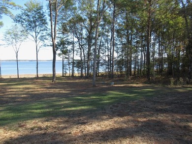 Located in the restricted neighborhood of Eagles Landing off FM - photo 29