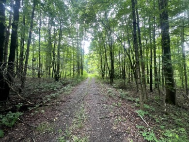 Lakefront Privacy on Beaver Meadow Lake - photo 18
