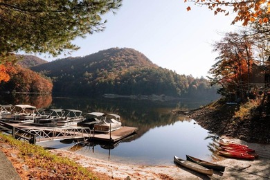 Picture perfect best describes this beautifully appointed, fully - photo 41