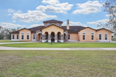 (private lake, pond, creek) Home For Sale in Zolfo Springs Florida