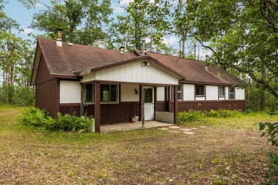 Lake Home For Sale in Johannesburg, Michigan
