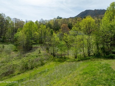 2 Acres to be subdivided in Dry Valley! This rare offering is an - photo 6