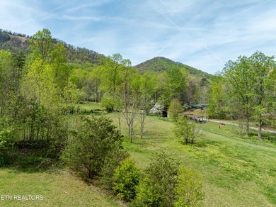 2 Acres to be subdivided in Dry Valley! This rare offering is an - photo 9
