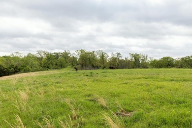 168.62acres in the Ozark Mountains featuring a beautiful mix of - photo 11