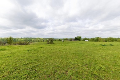 168.62acres in the Ozark Mountains featuring a beautiful mix of - photo 12