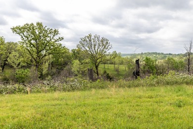 168.62acres in the Ozark Mountains featuring a beautiful mix of - photo 14